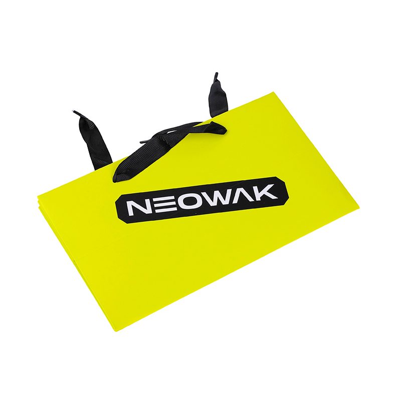 Custom Branded Packaging for Apparel Retail Paper Carry Bag
