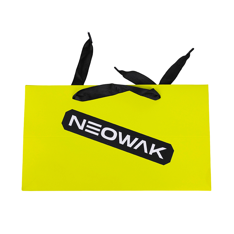 Custom Branded Packaging for Apparel Retail Paper Carry Bag