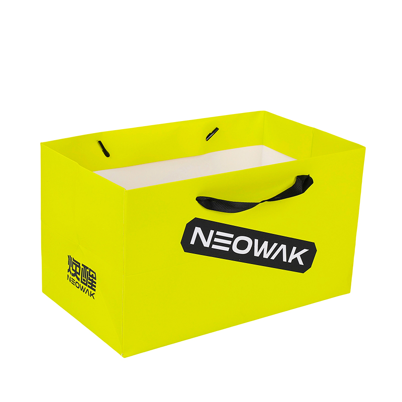 Custom Branded Packaging for Apparel Retail Paper Carry Bag