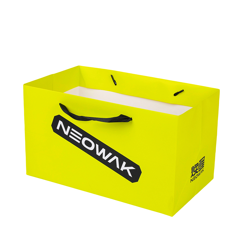 Custom Branded Packaging for Apparel Retail Paper Carry Bag