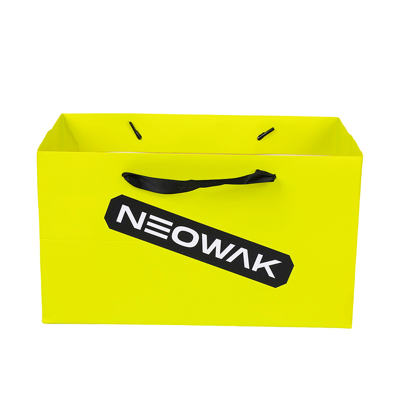 Custom Branded Packaging for Apparel Retail Paper Carry Bag