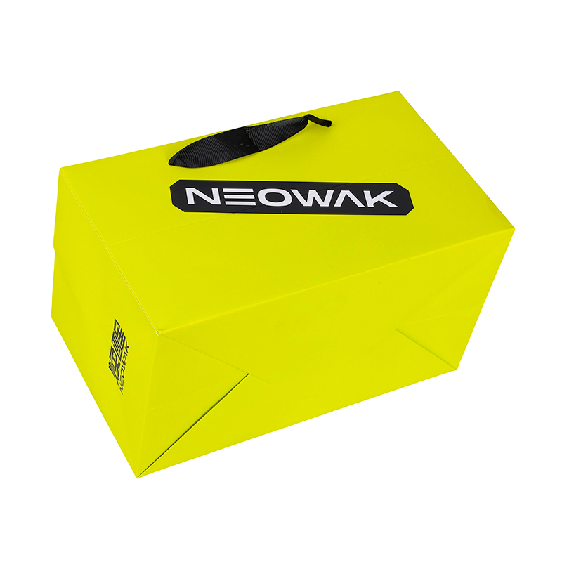 Custom Branded Packaging for Apparel Retail Paper Carry Bag
