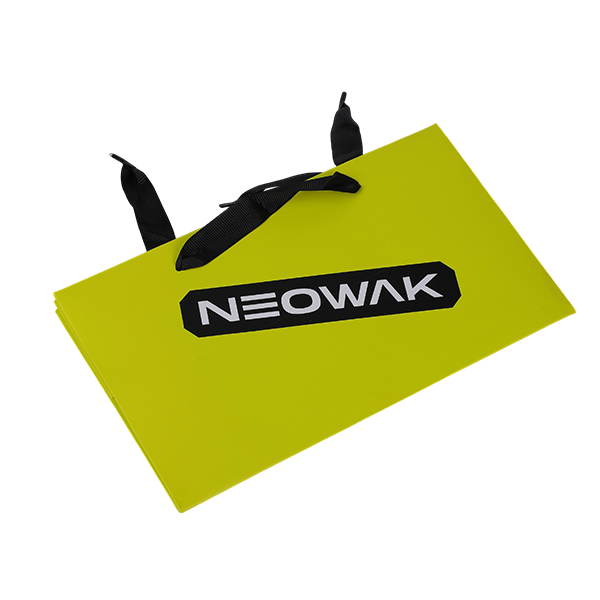 Paper Carry Bags